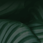 Segon element de la llista